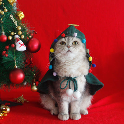 Christmas Costume Cloak with Hat