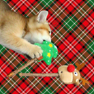 Christmas Durable Cat Toy Spirit Presents