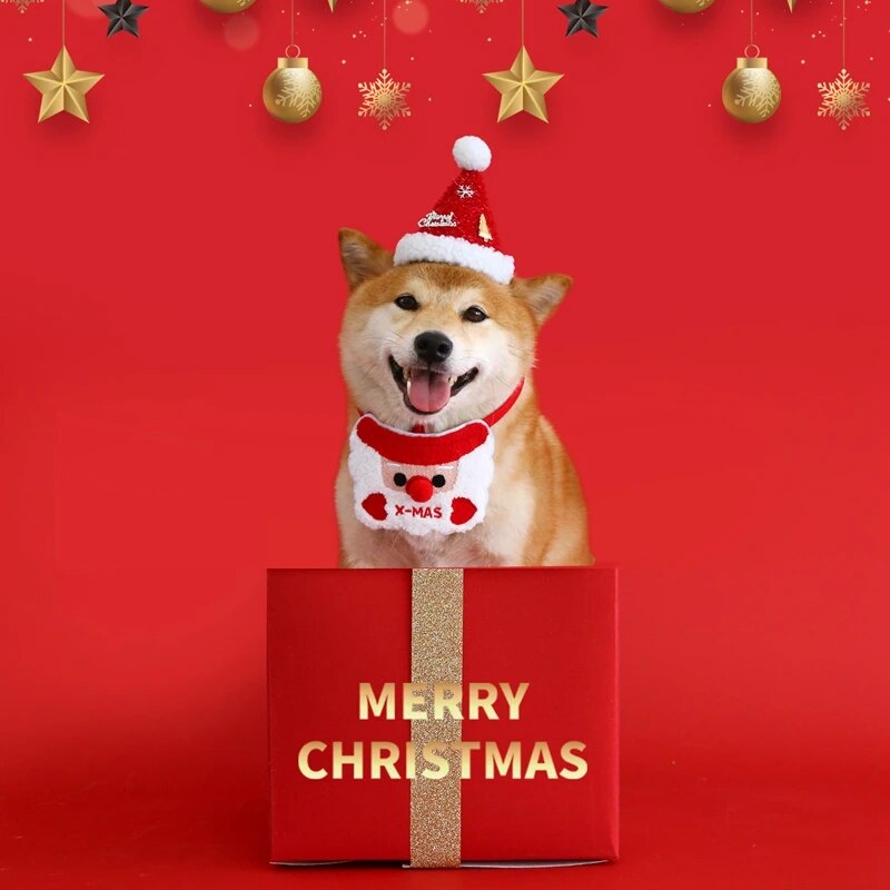 Christmas Pet Dog Toy Gift Box