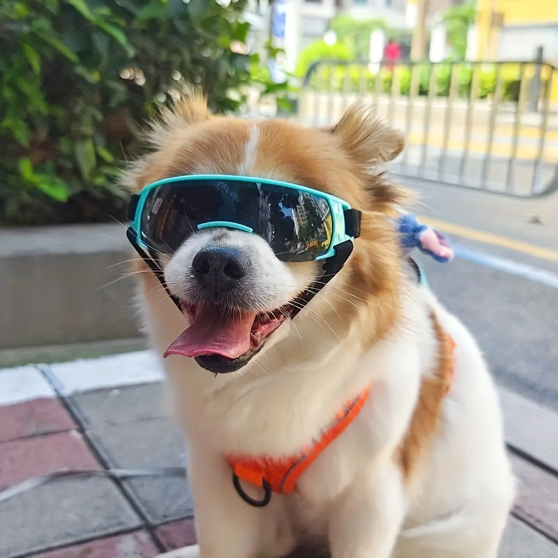 Cool Pet  Outdoor Sunglasses