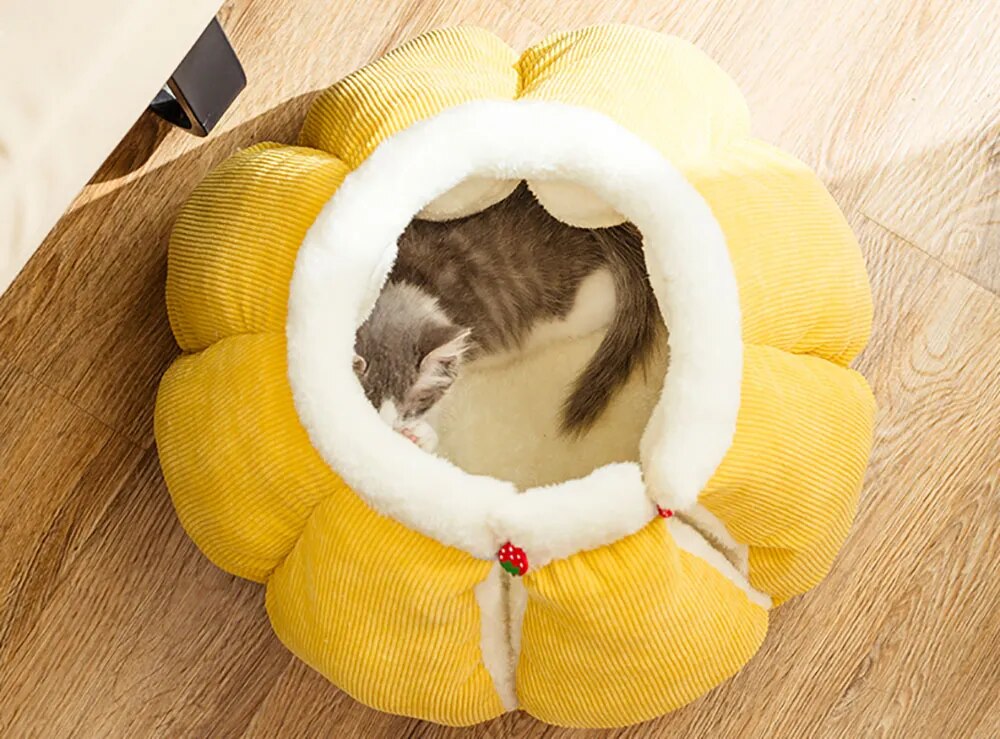 Cozy Pumpkin Pet Cave Bed