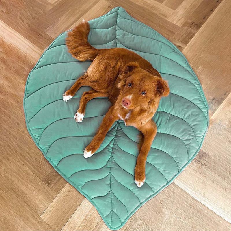 Dog Blanket in Leaf Design