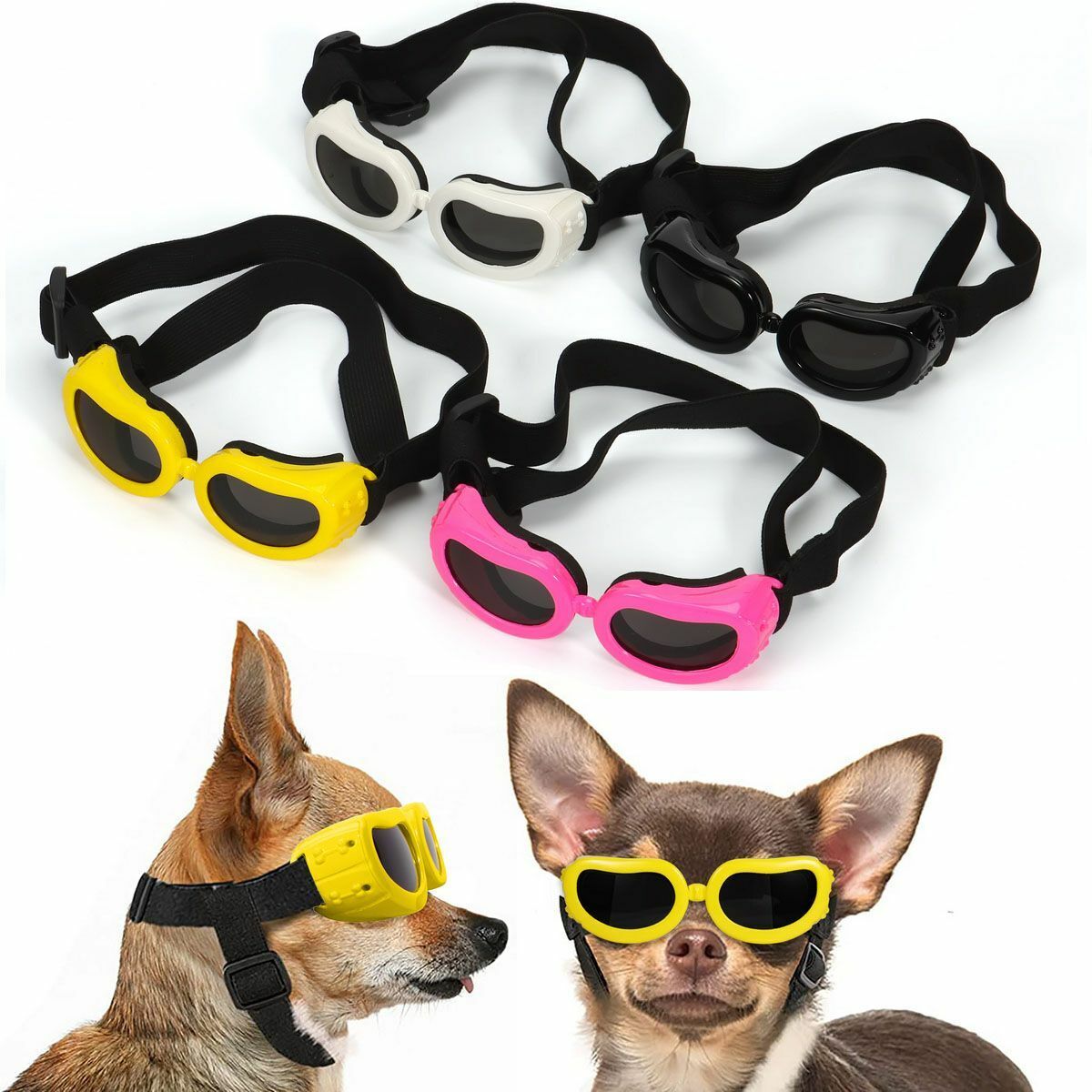 Vacation Style Dog Sunglasses for Small Breeds