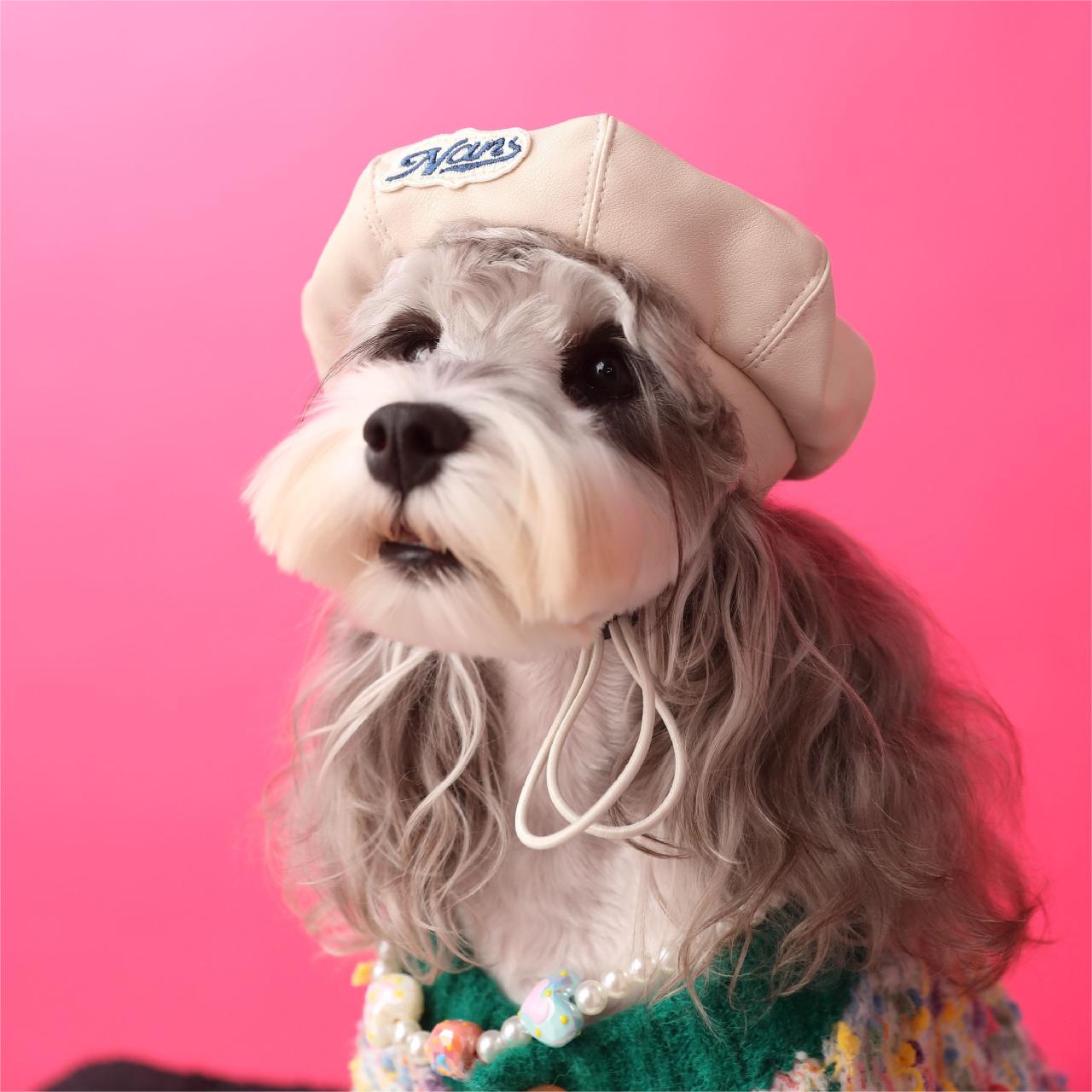 Fashion Beret Pet Hat