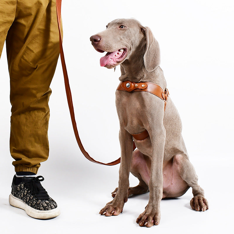 GuidedPaws Smart GPS Dog Harness Kit