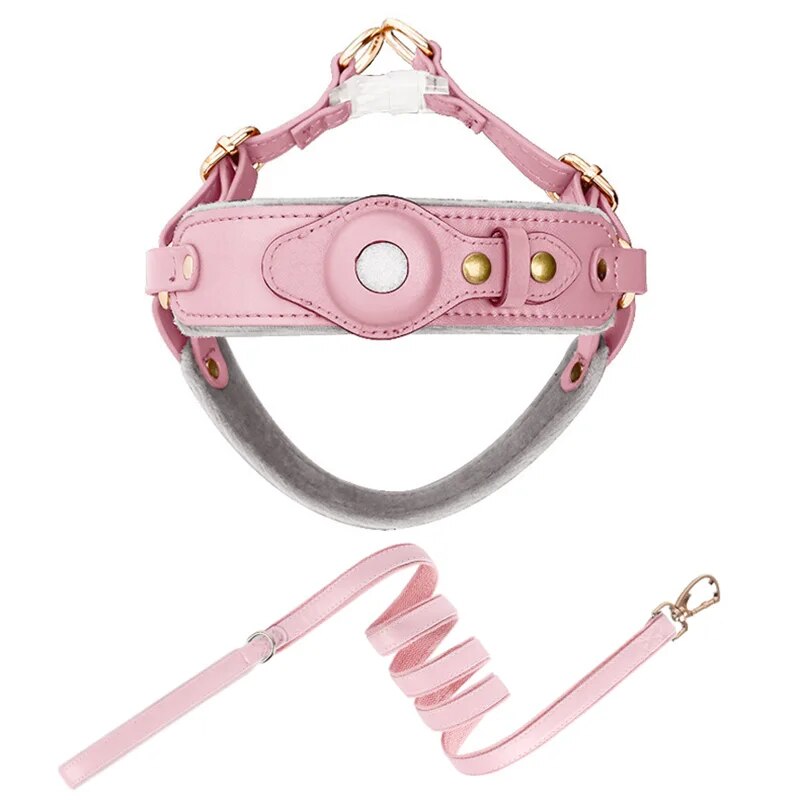 GuidedPaws Smart GPS Dog Harness Kit