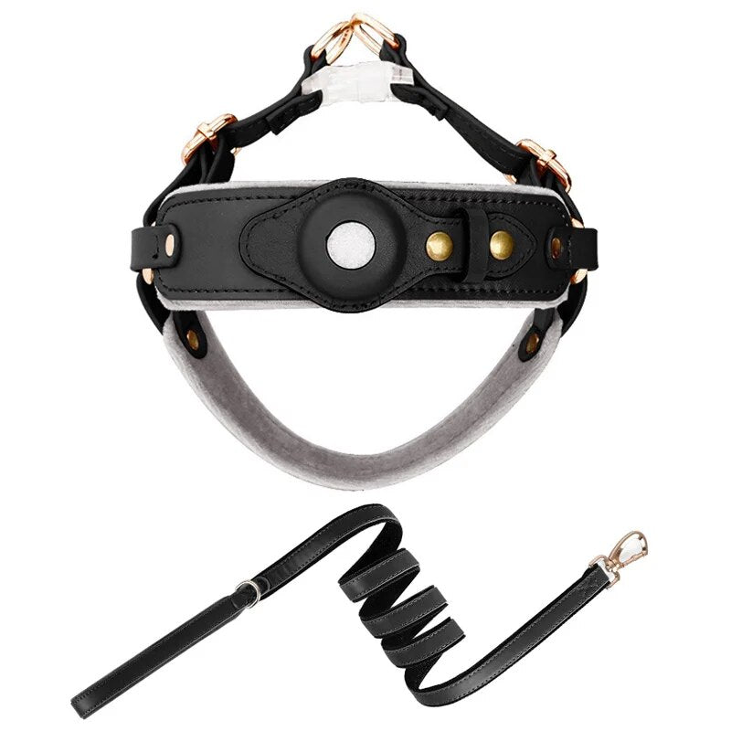 GuidedPaws Smart GPS Dog Harness Kit