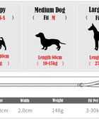 GuidedPaws Smart GPS Dog Harness Kit