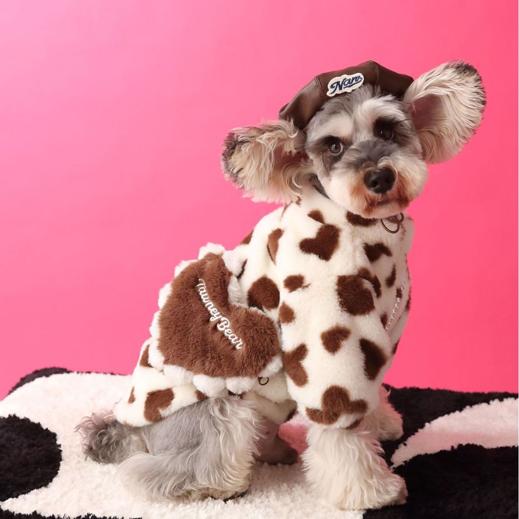 Love Graphic Plush Pet Jacket With Bag
