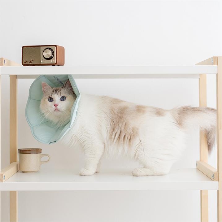 Scratch-Resistant Collar