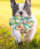 Squeaky Dog Toys For Aggressive Chewers