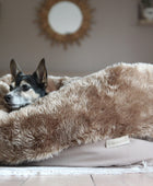 Transformable Furry Dog Bed