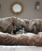 Transformable Furry Dog Bed