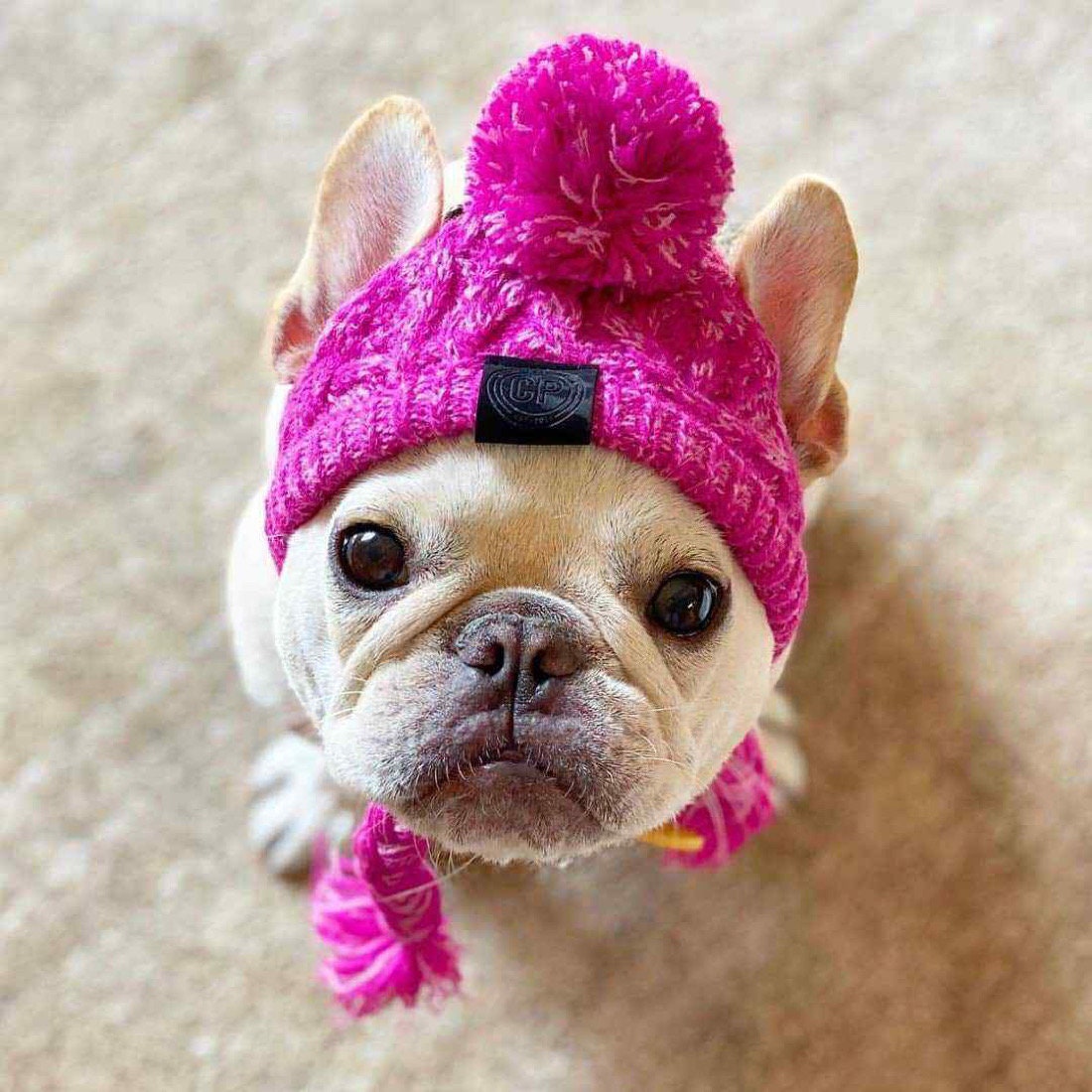 Warm Pet Knitted Soft Winter Hat