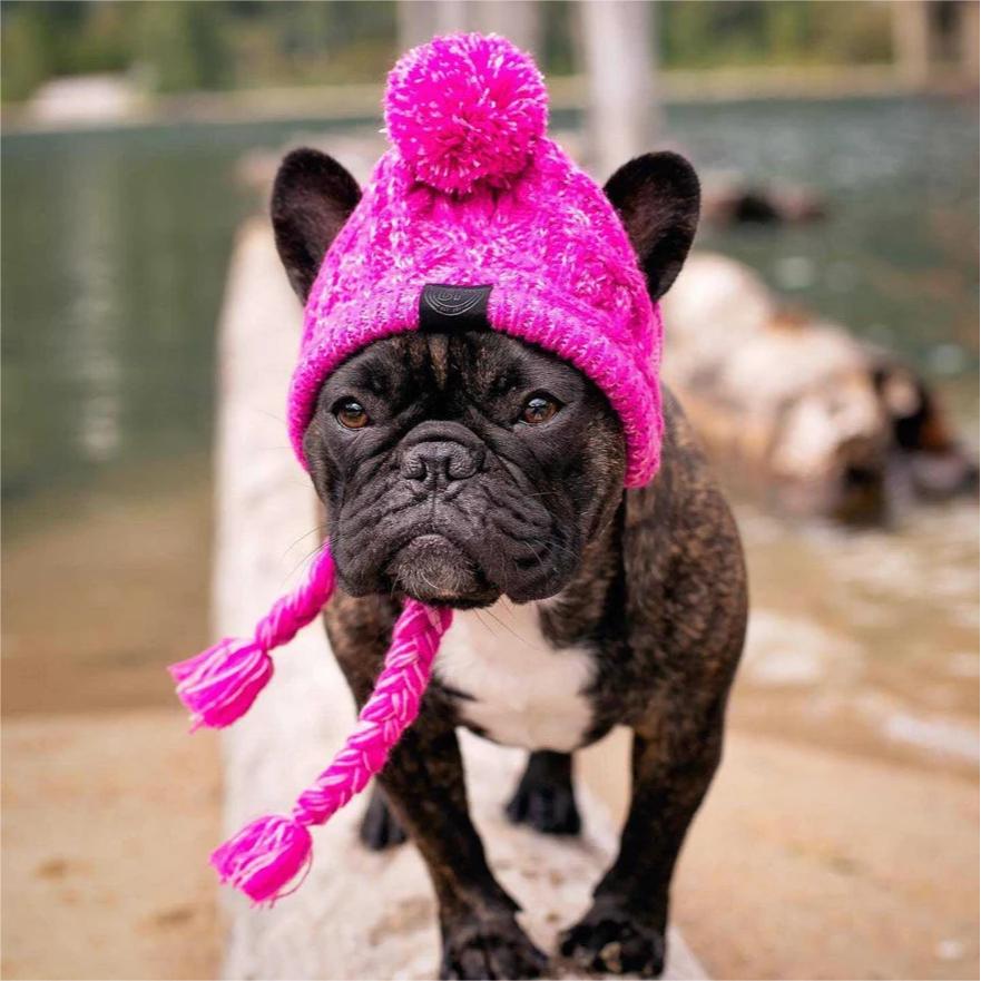 Warm Pet Knitted Soft Winter Hat