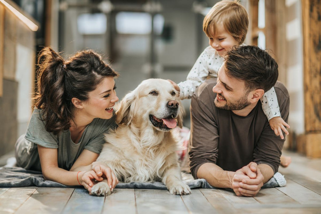 Signs of Aging in Pets and How to Provide Optimal Care