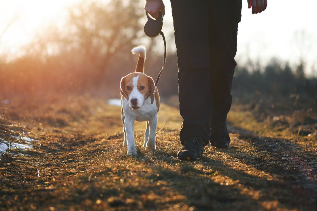 POWER OF DECOMPRESSION WALK
