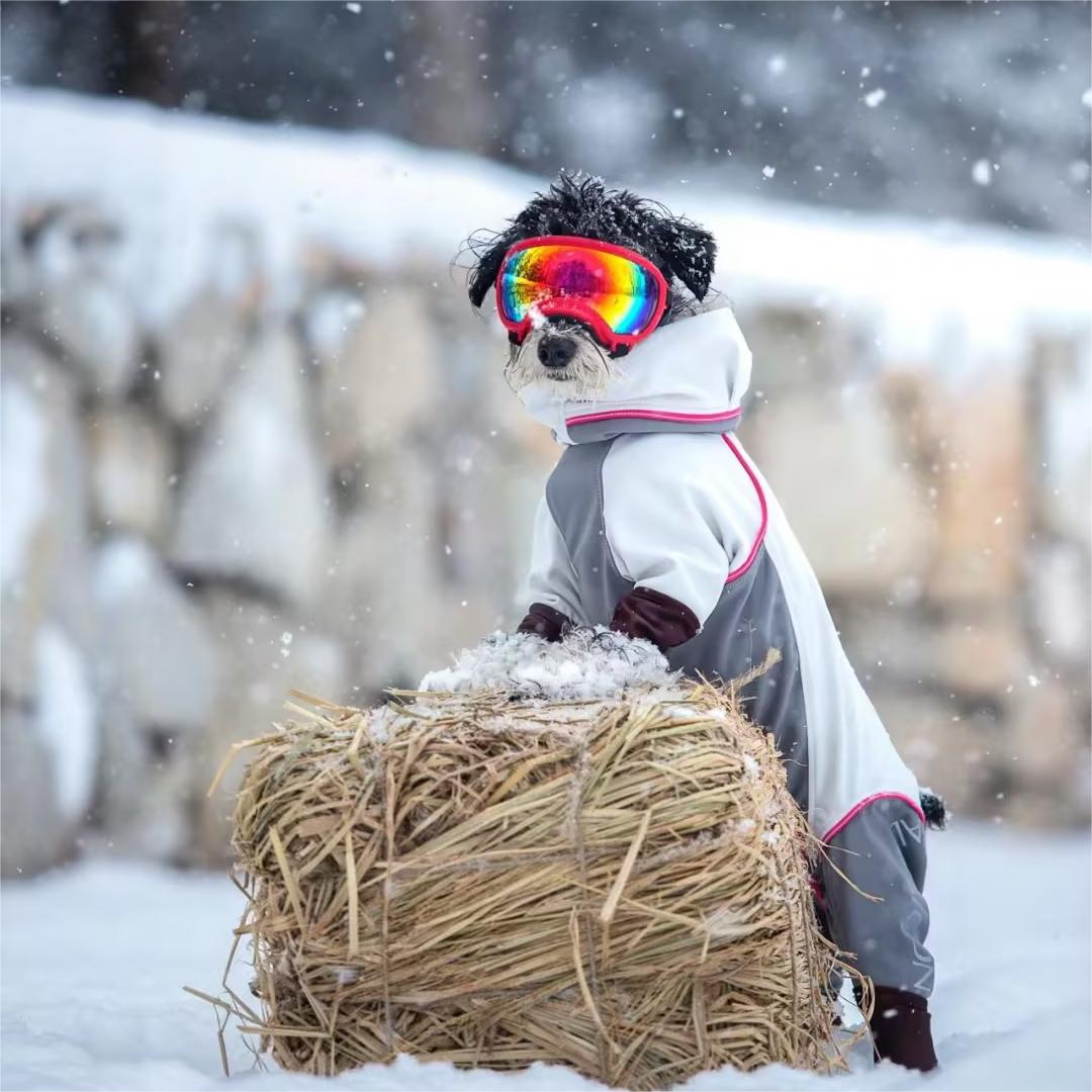 Dog Goggles with Adjustable Strap