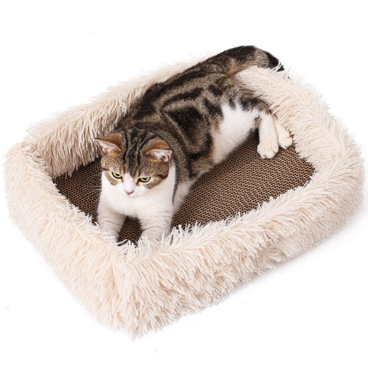 2 in 1 Cat Bed