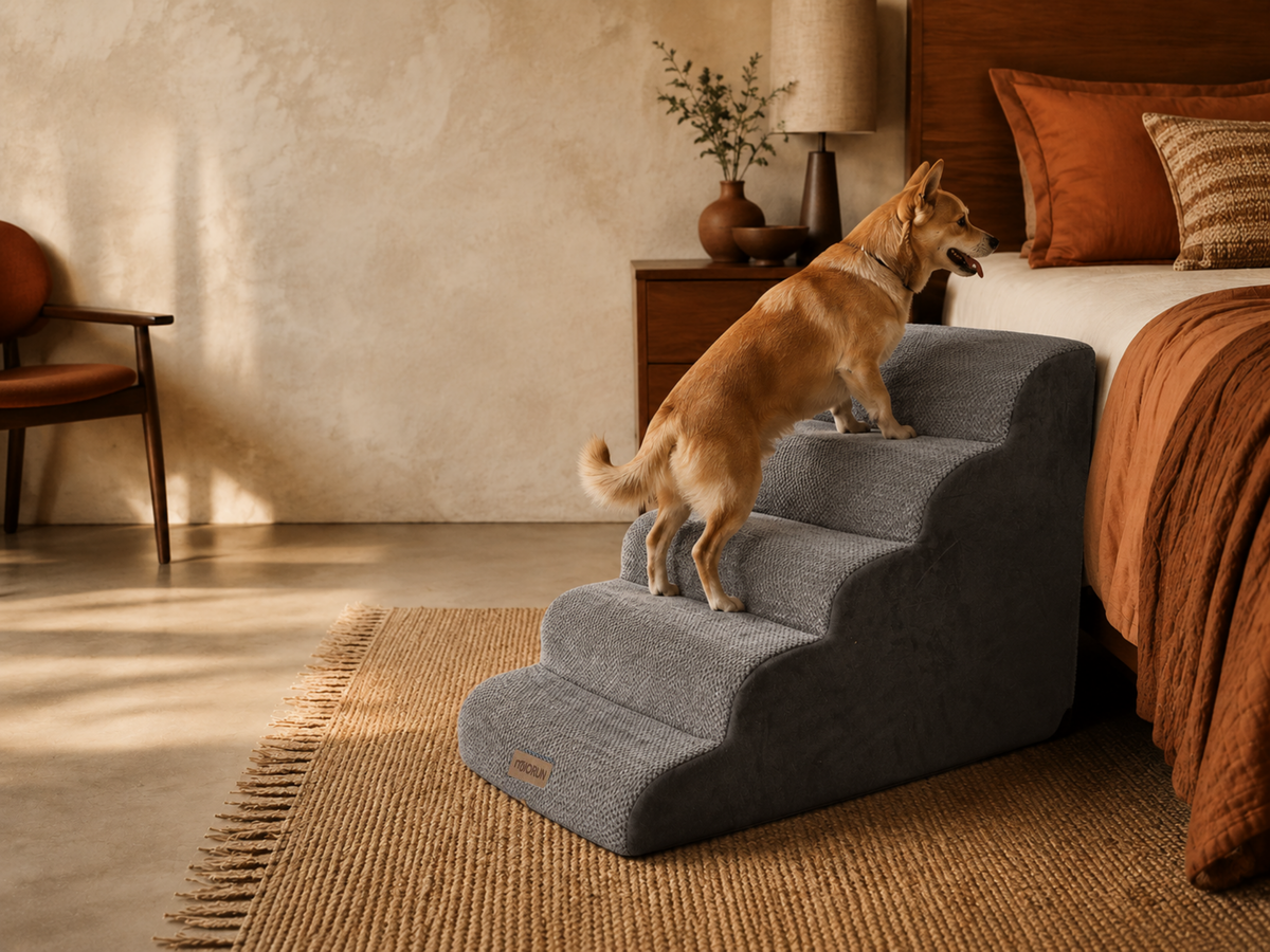 Dog using Miorun pet stairs beside a bed
