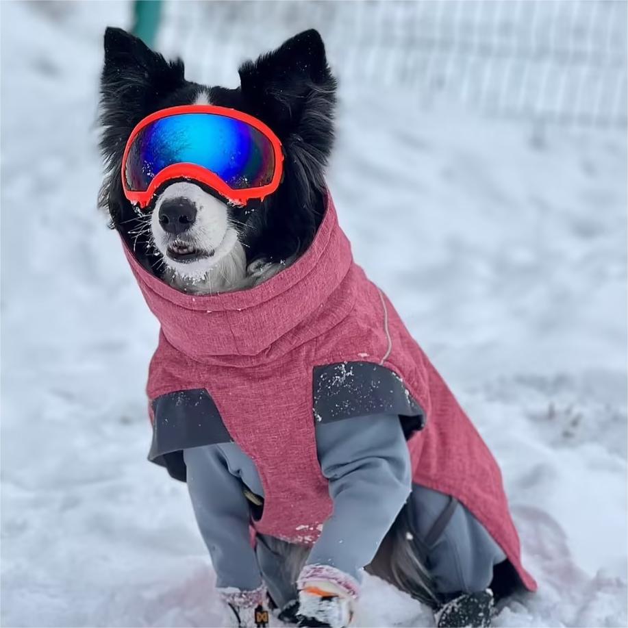 Dog Goggles with Adjustable Strap