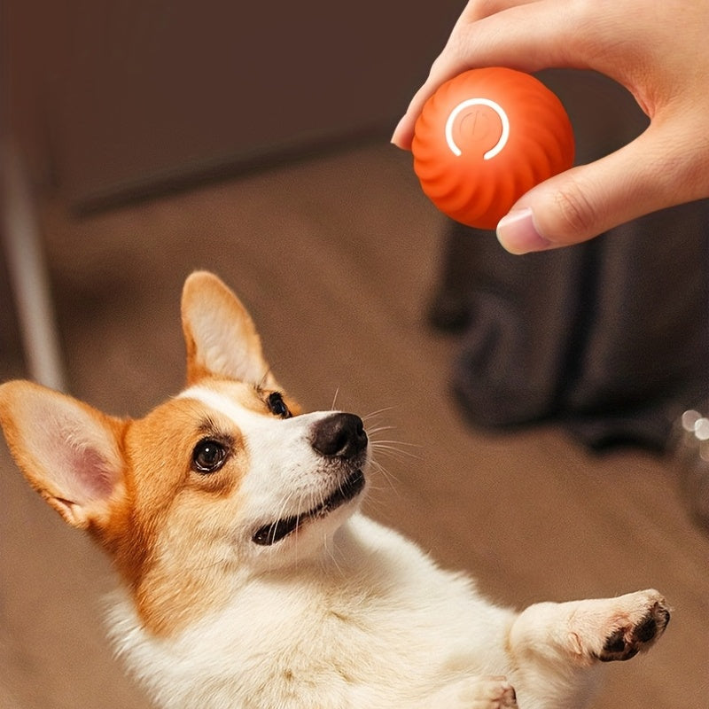 Chew Rolling - Automatic Pet Play Ball