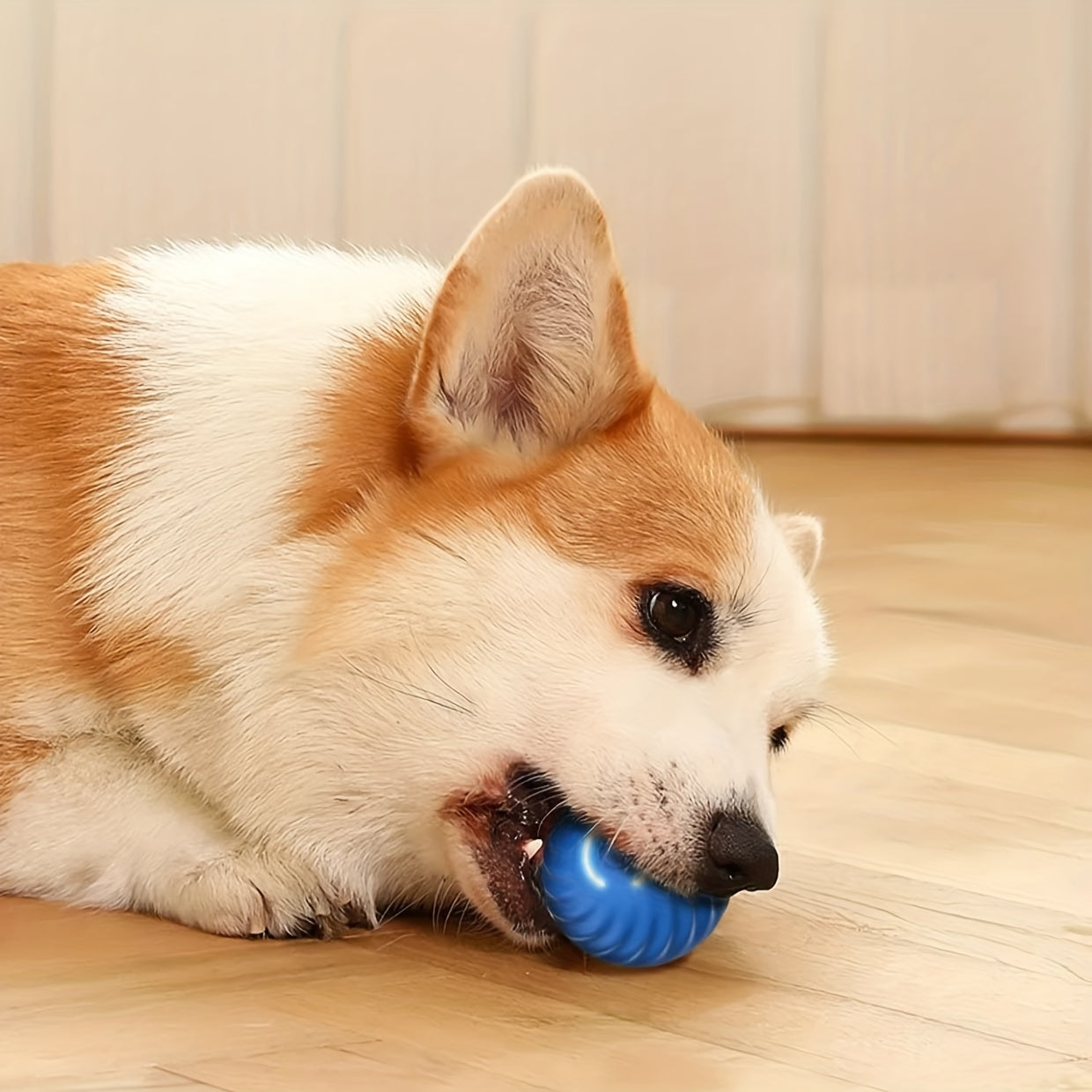 Chew Rolling - Automatic Pet Play Ball