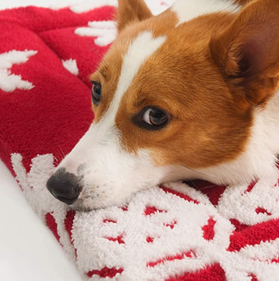 Christmas-Themed Waterproof Pet Cushion