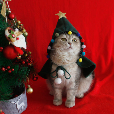 Christmas Costume Cloak with Hat