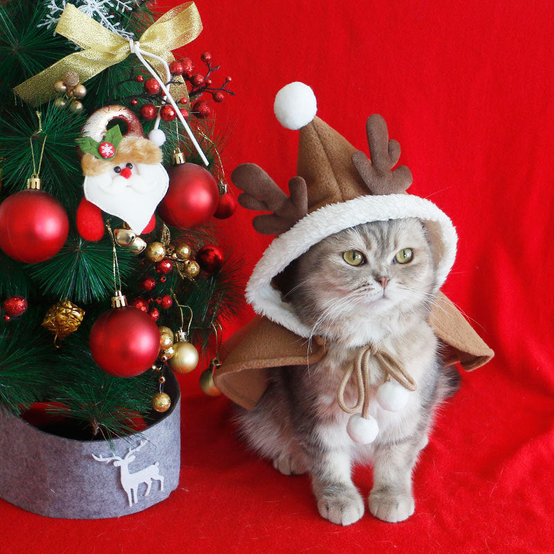 Christmas Costume Cloak with Hat