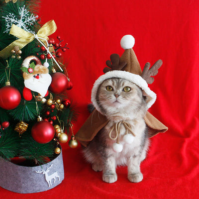 Christmas Costume Cloak with Hat