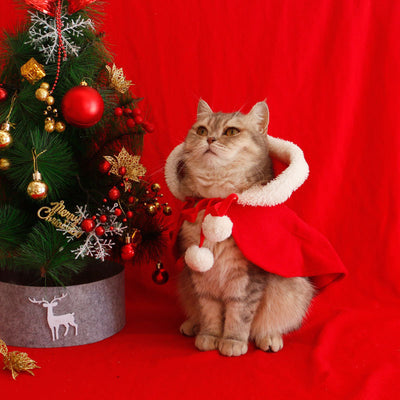 Christmas Costume Cloak with Hat