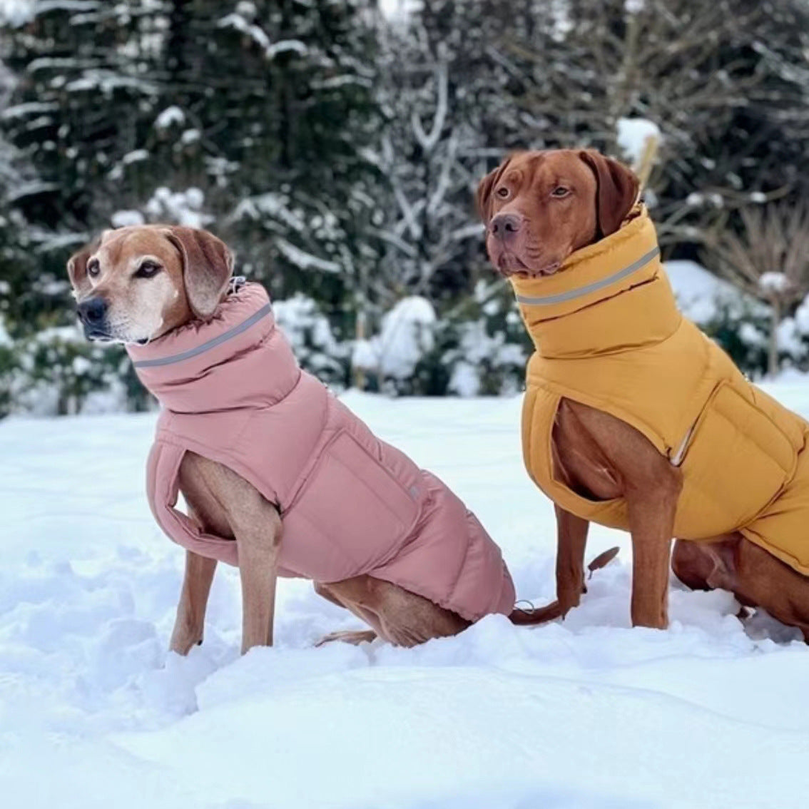 CozyShield Reflective Winter Dog Coat