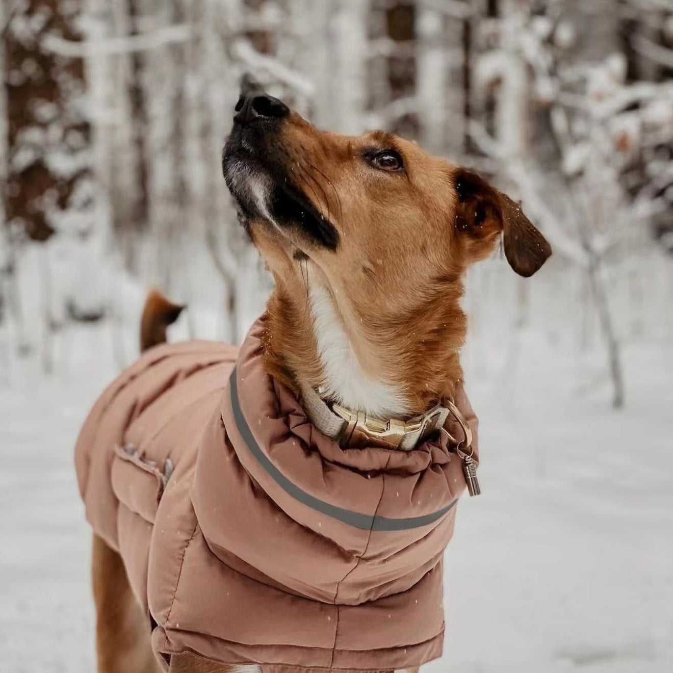 CozyShield Reflective Winter Dog Coat