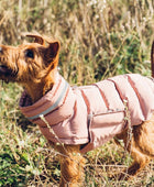 CozyShield Reflective Winter Dog Coat