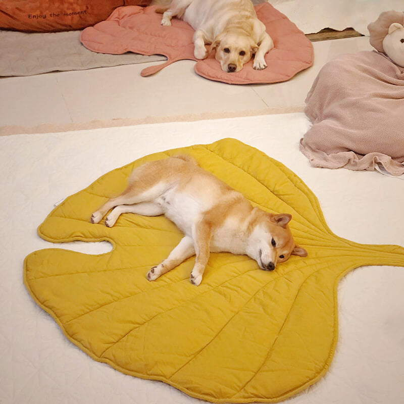 Dog Blanket in Leaf Design