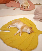 Dog Blanket in Leaf Design