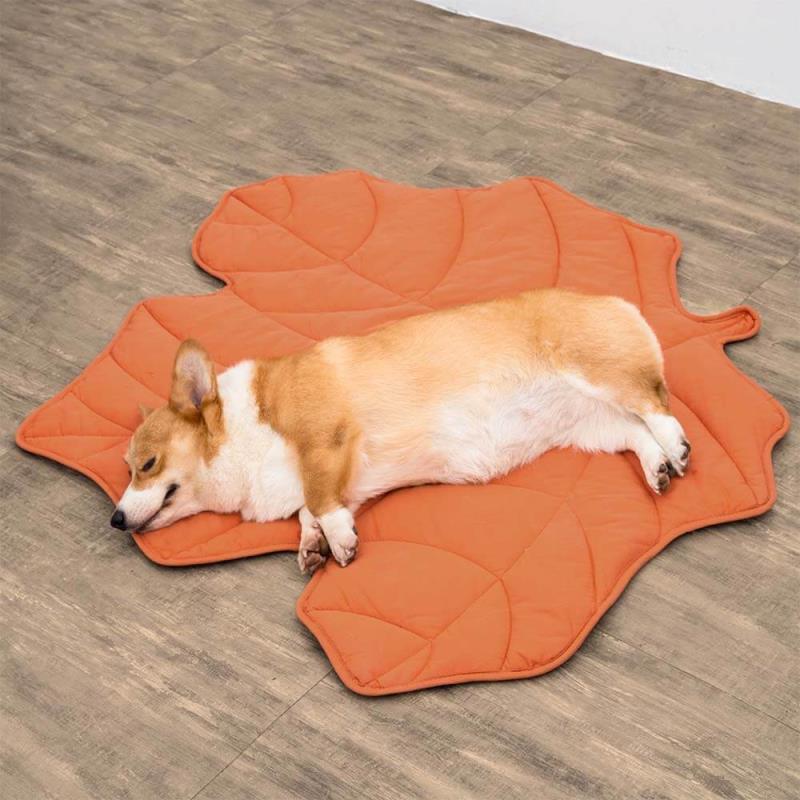 Dog Blanket in Leaf Design