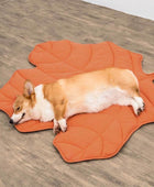 Dog Blanket in Leaf Design