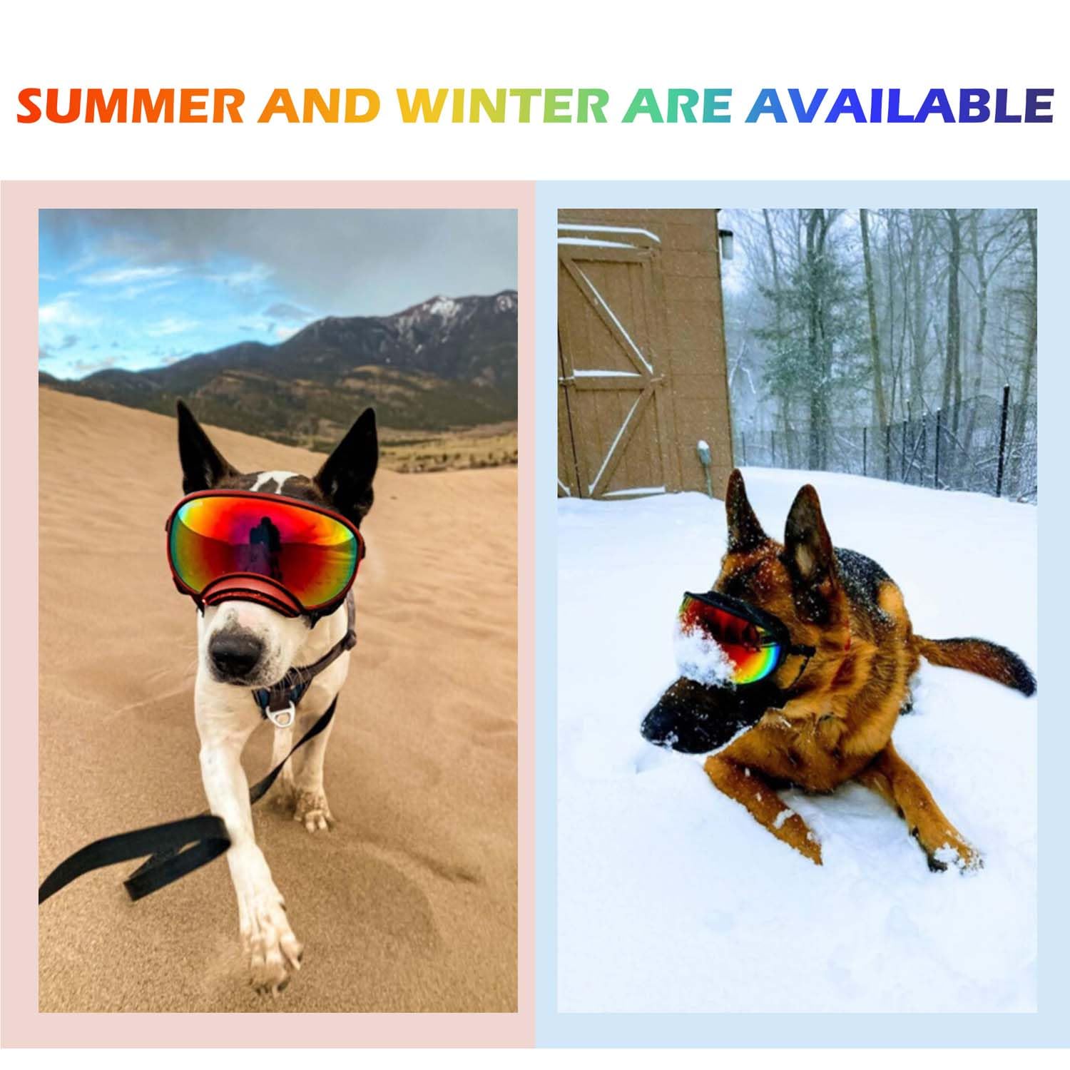 Dog Goggles with Adjustable Strap