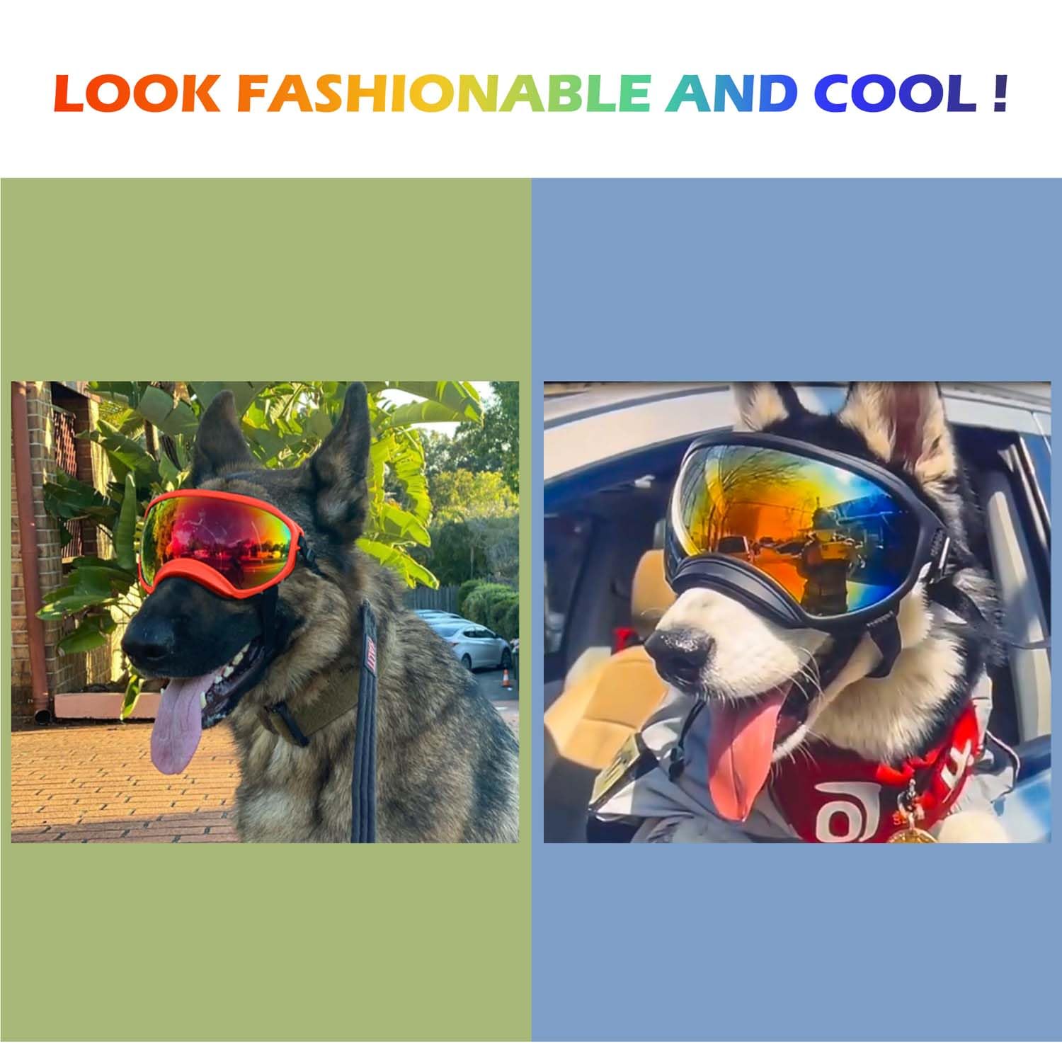 Dog Goggles with Adjustable Strap