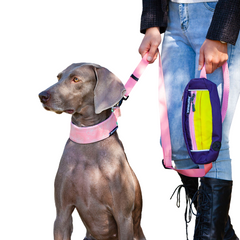 Dog Leash With Poop Bag Dispenser