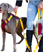 Dog Leash With Poop Bag Dispenser