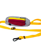 Dog Leash With Poop Bag Dispenser