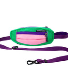 Dog Leash With Poop Bag Dispenser