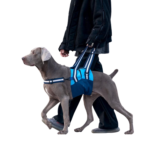 Dog Lift Support Harness