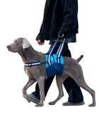 Dog Lift Support Harness