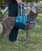 Dog Lift Support Harness