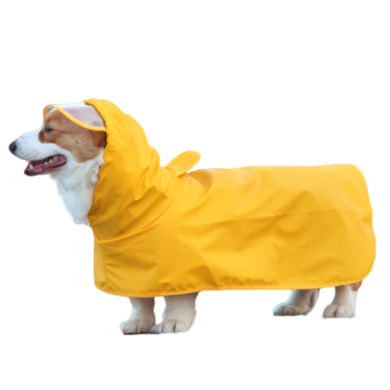 Dog Waterproof Outdoor Raincoat