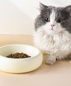 Donut Pet Bowl